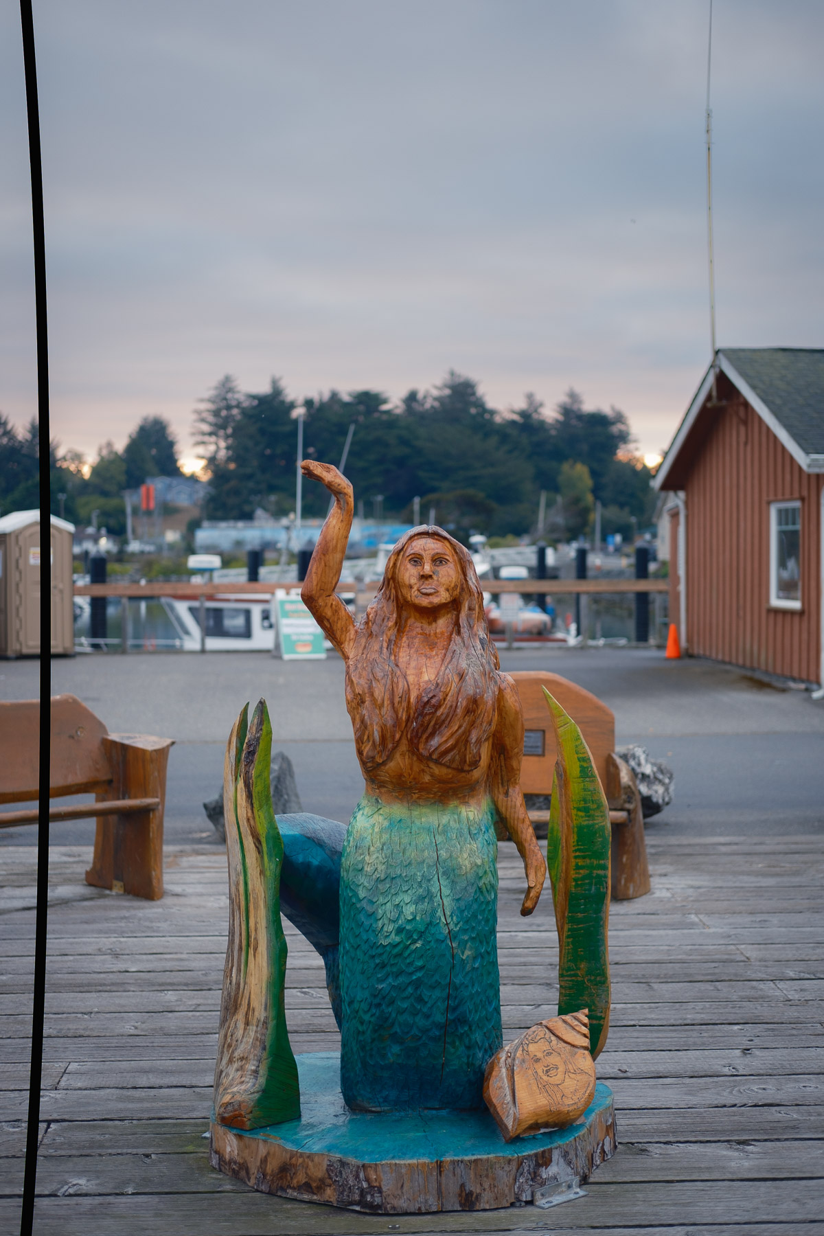 Pacific Northwest Road Trip photo titled Pacific Coast 61